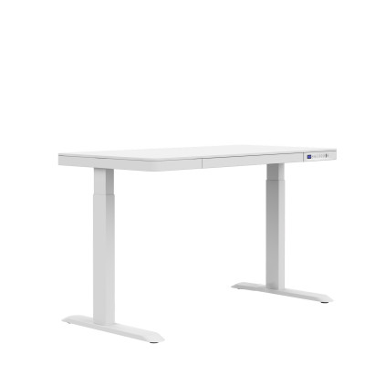 Lifetime desk RISE electrically adjustable with drawer and USB