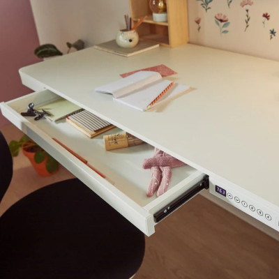 Lifetime desk RISE electrically adjustable with drawer and USB