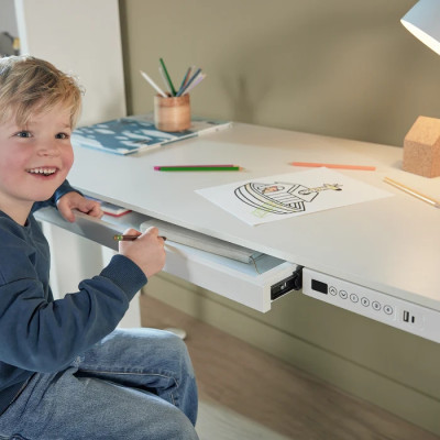 Lifetime desk RISE electrically adjustable with drawer and USB