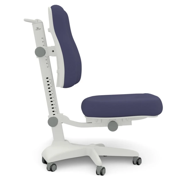 Chaise de bureau pour enfants Lifetime Ergo Bleu foncé Gris