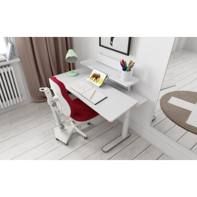 Chaise de bureau pour enfants Lifetime Ergo Bleu foncé Gris