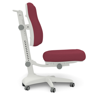 Chaise de bureau pour enfants Lifetime Ergo Rouge foncé Gris