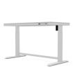 Lifetime desk RISE electrically adjustable incl. drawer and USB