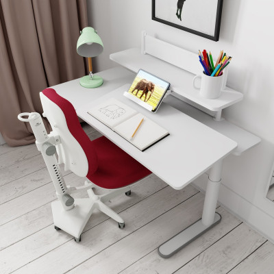 Lifetime accountant for ERGO desk incl. tablet stand