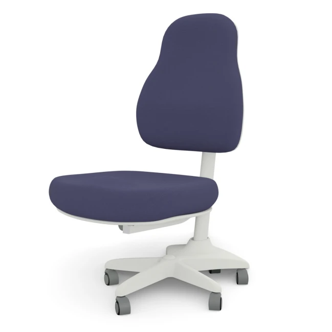 Chaise de bureau pour enfants Lifetime Ergo Bleu foncé Gris