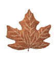 Lifetime moulded cushion maple - Canoe Adventure