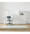 Lifetime School 13B shelf with drawers, desk with children's office chair
